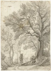 ローマ郊外のヴィラ マダマの森