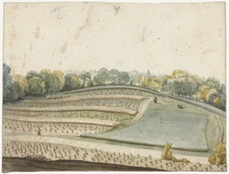 上から見た起伏のある穀物畑のパノラマ