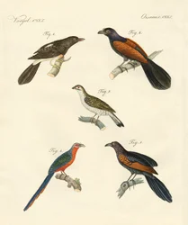 美しく登ってくる鳥たち（彩色済み彫刻