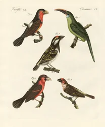美しく登ってくる鳥たち（彩色済み彫刻