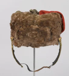 バスビー、コンノート公爵殿下、第3ジーテン・ユサール、ドイツ軍、1914年以前（busby