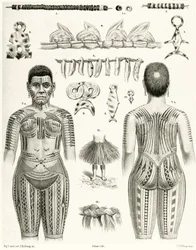 ポリネシアのジュエリー、装飾品、タトゥーのデザインを示す図、1888
