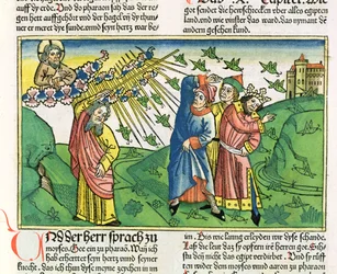 出エジプト記10：1-20エジプトの七つの災い：ニュルンベルク聖書（Biblia Sacra Germanaica）からのイナゴの疫病（色の木版画）