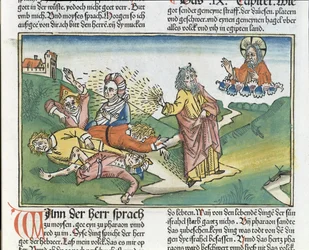 出エジプト記9 8-12エジプトの七つの災い：モーセと沸騰の疫病、ニュルンベルク聖書（Biblia Sacra Germanaica）（色の木版画）