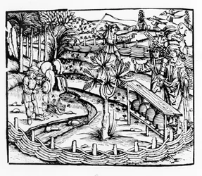 ミツバチの世話をする幸せな夫、バージルのGeorgicsからのイラスト、セバスチャン・ブランツ（1457-1521）版の本IV、1502年発行