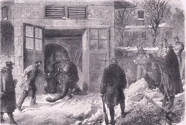 1890年頃にCassell and Company Limitedから出版された『Cassells History of the War between France and Germany』のJardin D