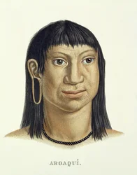ブラジルのアトラスオブジャーニーヨハンバプティストフォンスピックス（1781-1826）とカールフリードリヒフィリップマルティウス（1794-1868）によるアロアキ族の先住民で、1835-50年頃に出版された
