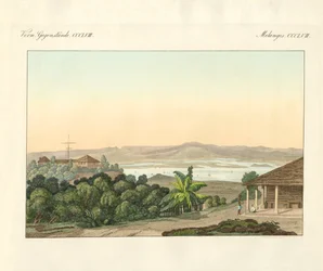Pulu Penang (カラーの彫刻)