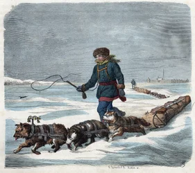 アメリカの雪の中のソリ犬。フランツ・ヴィーデマンのドイツの物語「Wenn Jemand eine Reise thut, so kann er was erzahlen（誰かが旅をするとき、これは彼が語ることができるものだ）」の中で