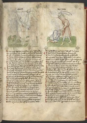 Sloane 361, f.26 イザヤの殉教。 モアブ王が息子を生け贄に捧げる、「Speculum Humanae Salvation」より (羊皮紙にインクとカラー)