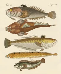 奇妙な魚（彩色された彫刻