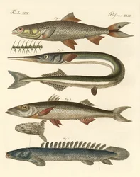 奇妙な魚（彩色された彫刻