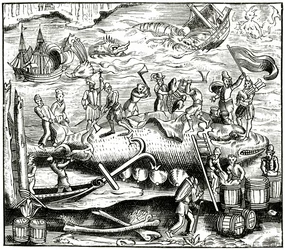 マンステル宇宙飛行士の木版画の後のクジラ釣り、1552年公開