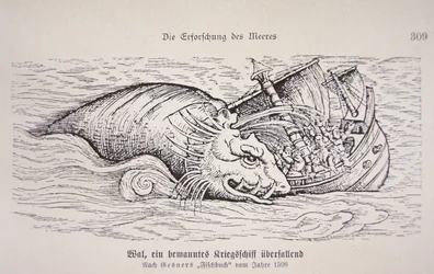 船を襲うクジラ