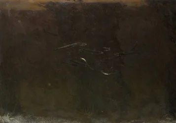 水族館の魚