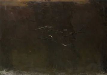 水族館の魚たち