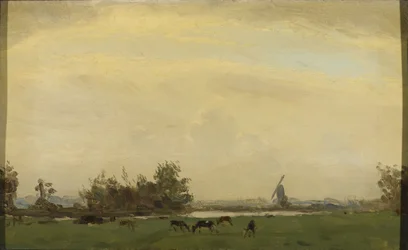 Spaarne の牧草地の風景