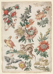 鳥とグリフォンのフローラルデザイン、1784年。