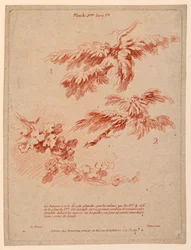 ブック I のプレート 2、ランドスケープ ジャンルでの描画の原則