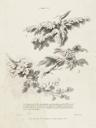 葉のある 3 つの枝の研究 1er Cahier de Paysage (シリーズタイトル)
