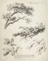 葉のある枝の研究 1er Cahier de Paysage (シリーズタイトル)