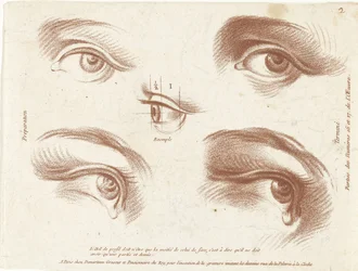 目の例を含む学習シート デザイン原則の本（シリーズタイトル）