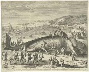 バークヘイで座礁したクジラ、1598 年 1598 年、Sprokkelmaandt の Schevelingen と Katwyk の間のオランダの海岸に座礁した体長 70 フィートのクジラ (オブジェクトのタイトル)