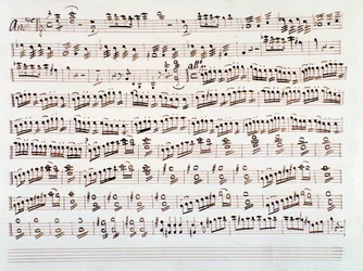 Gioacchino Rossiniの交響曲のバイオリン譜のページです。