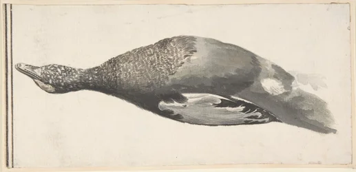 死んだアヒル、1685-1755。