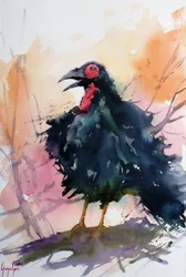 鳴く黒い鳥