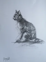 警戒心の強い炭色の猫