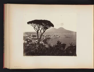 フォア グラウンドで松の木とナポリ、イタリアのビュー Panorama dal Vomero Napoli (オブジェクトのタイトル)