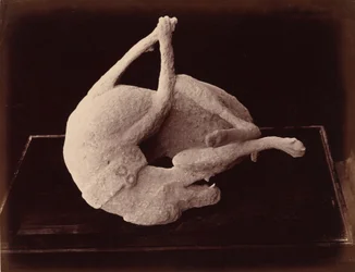 キャスト、ポンペイ、c.1870年（写真）