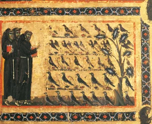 聖フランチェスコの物語：聖フランチェスコが鳥たちに説教する、ジョット（1267-1337）によるフレスコ、1325年頃。ヴェルニオのバルディ礼拝堂、サンタ・クローチェ聖堂、フィレンツェ、イタリア