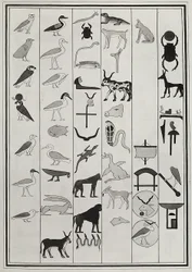 1817 年にジョヴァンニ バッティスタ ベルゾーニによって再現されたファラオ プサメティッチ 1 世の墓の内部からの装飾の図面、ロンドンの大英博物館に所蔵