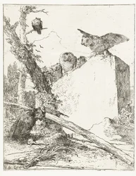 石の近くにフクロウがいるスケルツィ ディ ファンタジアのタイトル プリント Scherzi di fantasia (シリーズタイトル)