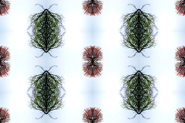 不自然な110番（デジタルで加工された写真