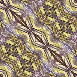 Unnatural 120.1（デジタル処理された写真