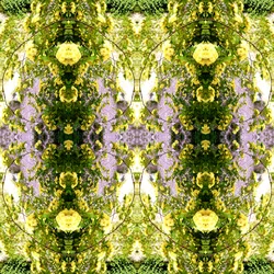 不自然な150（デジタルで加工された写真