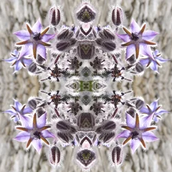 Unnatural 159（デジタルで加工された写真