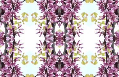 Unnatural 160.3（デジタル処理された写真