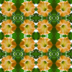 Unnatural 171.1（デジタル処理された写真