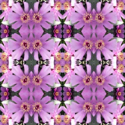 Unnatural 176.1（デジタル処理された写真