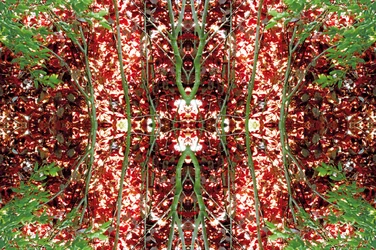 Unnatural 23（デジタル処理された写真）