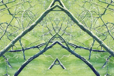 Unnatural 30（デジタル処理された写真）