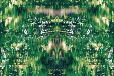 Unnatural 31（デジタル処理された写真）