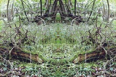 Unnatural 33（デジタル処理された写真）