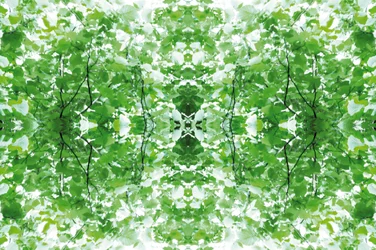 不自然34（デジタル処理された写真）