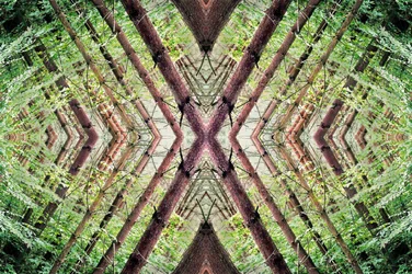 Unnatural 37（デジタル処理された写真）