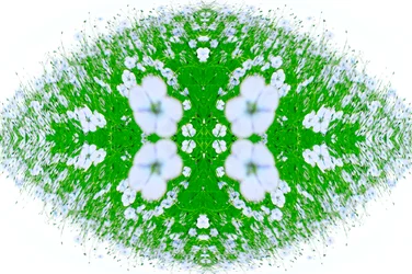 Unnatural 37（デジタル処理された写真）